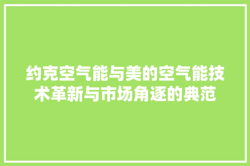 约克空气能与美的空气能技术革新与市场角逐的典范 翻新改色