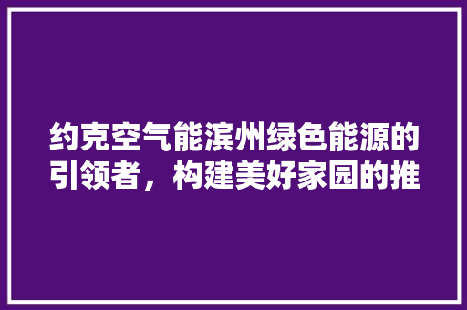 约克空气能滨州绿色能源的引领者，构建美好家园的推动者 空调