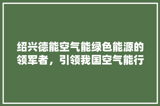 绍兴德能空气能绿色能源的领军者，引领我国空气能行业迈向新高度 家电维护