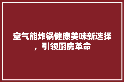 空气能炸锅健康美味新选择，引领厨房革命 清洁保养