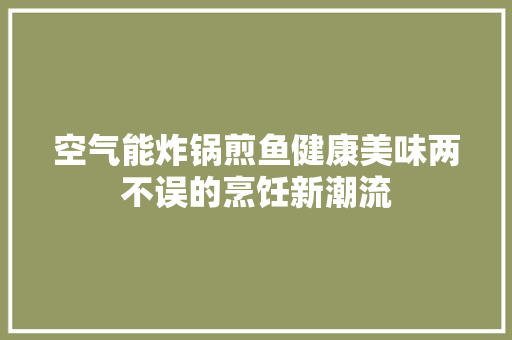 空气能炸锅煎鱼健康美味两不误的烹饪新潮流 洗衣机