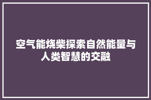 空气能烧柴探索自然能量与人类智慧的交融 家具修理