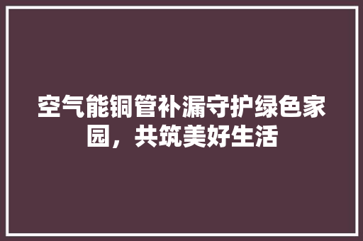 空气能铜管补漏守护绿色家园，共筑美好生活 空调
