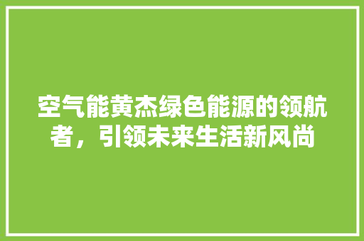 空气能黄杰绿色能源的领航者，引领未来生活新风尚 翻新改色