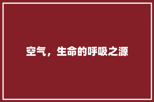 空气，生命的呼吸之源 洗衣机