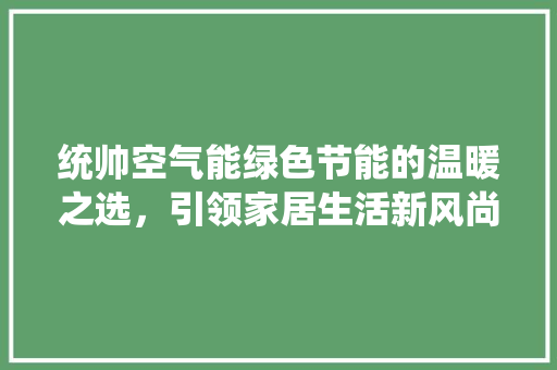 统帅空气能绿色节能的温暖之选，引领家居生活新风尚 水电维修