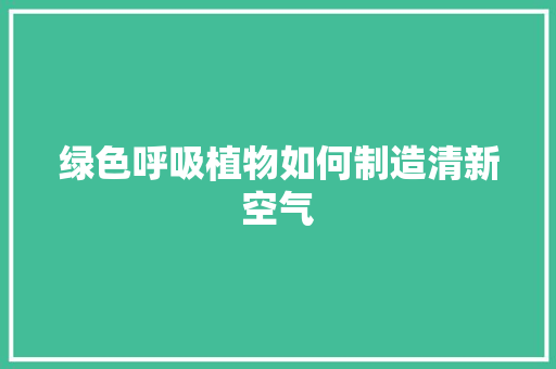 绿色呼吸植物如何制造清新空气 局部翻新