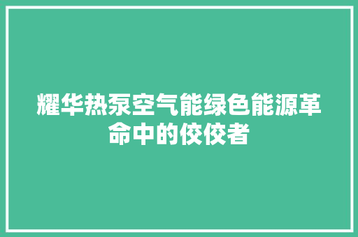 耀华热泵空气能绿色能源革命中的佼佼者 龙头管件