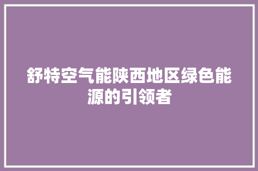 舒特空气能陕西地区绿色能源的引领者 局部翻新