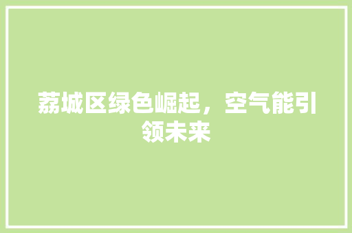 荔城区绿色崛起，空气能引领未来 家居维修