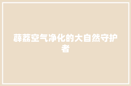 薜荔空气净化的大自然守护者 灯具安装