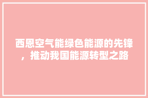 西恩空气能绿色能源的先锋，推动我国能源转型之路 水电维修