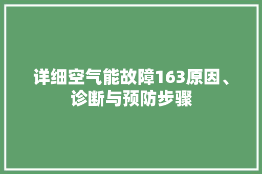 详细空气能故障163原因、诊断与预防步骤 水电维修