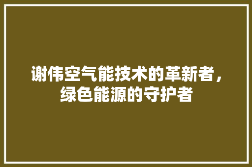 谢伟空气能技术的革新者，绿色能源的守护者 灯具安装