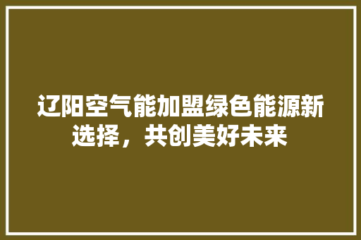 辽阳空气能加盟绿色能源新选择，共创美好未来 清洁保养