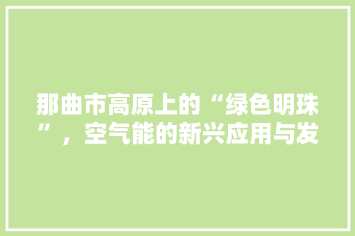 那曲市高原上的“绿色明珠”，空气能的新兴应用与发展 热水器