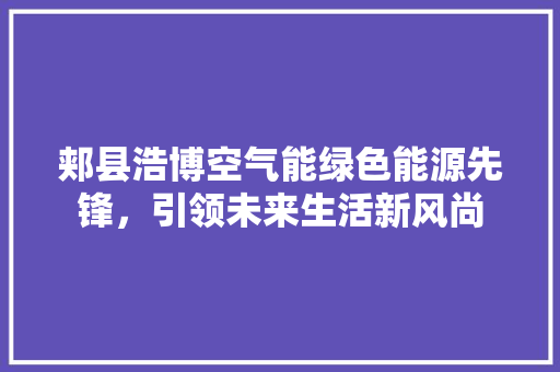 郏县浩博空气能绿色能源先锋，引领未来生活新风尚 空调