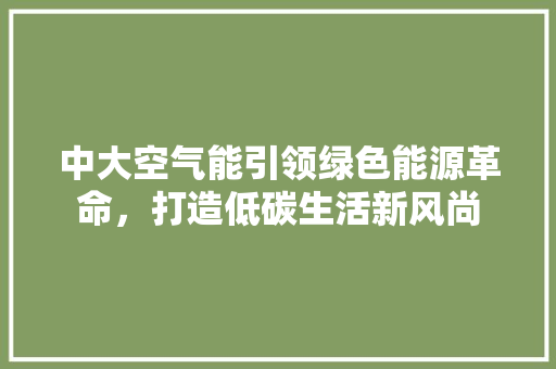 中大空气能引领绿色能源革命，打造低碳生活新风尚 家居维修