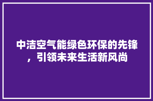 中洁空气能绿色环保的先锋，引领未来生活新风尚 热水器