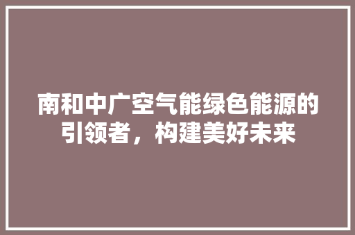 南和中广空气能绿色能源的引领者，构建美好未来 热水器