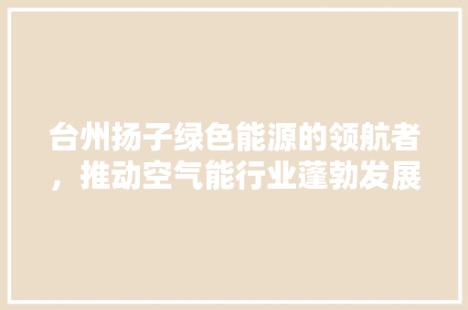 台州扬子绿色能源的领航者，推动空气能行业蓬勃发展 水电维修