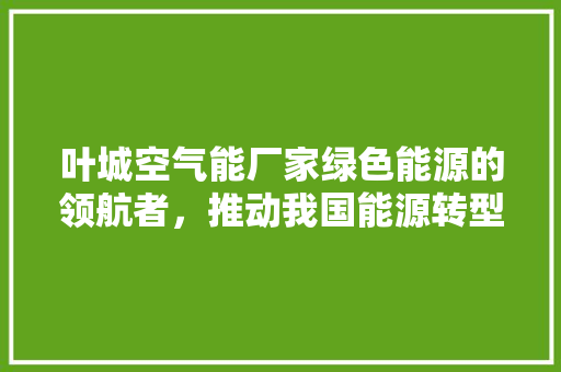 叶城空气能厂家绿色能源的领航者，推动我国能源转型 热水器