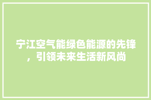 宁江空气能绿色能源的先锋，引领未来生活新风尚 贴膜