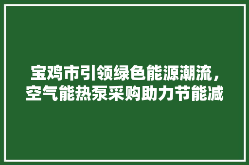 宝鸡市引领绿色能源潮流，空气能热泵采购助力节能减排 灯具安装