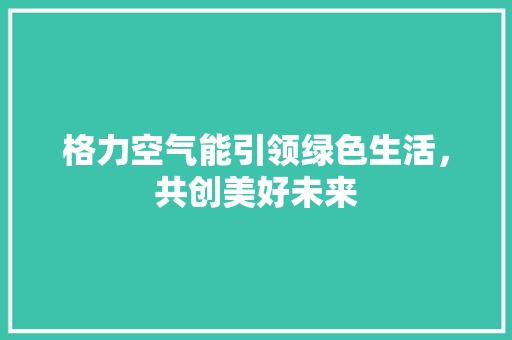 格力空气能引领绿色生活，共创美好未来 空调