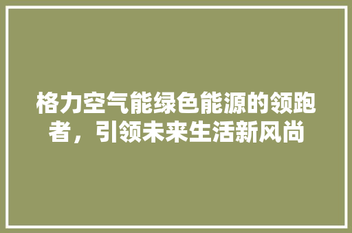 格力空气能绿色能源的领跑者，引领未来生活新风尚 家具修理