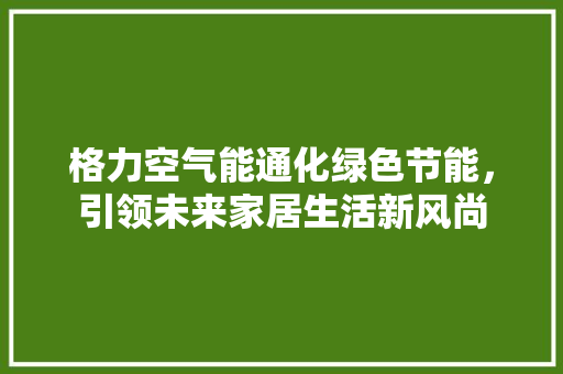 格力空气能通化绿色节能，引领未来家居生活新风尚 空调