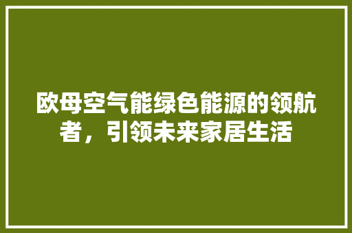 欧母空气能绿色能源的领航者，引领未来家居生活 热水器