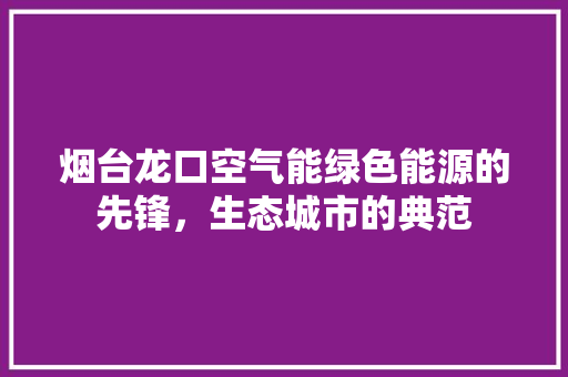 烟台龙口空气能绿色能源的先锋，生态城市的典范 冰箱
