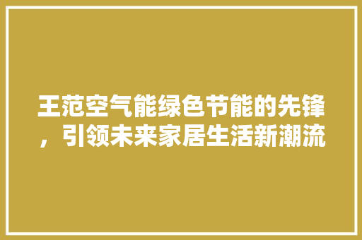 王范空气能绿色节能的先锋，引领未来家居生活新潮流 热水器