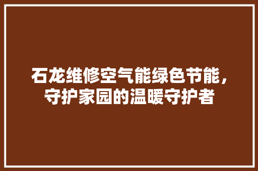 石龙维修空气能绿色节能，守护家园的温暖守护者 装修设计