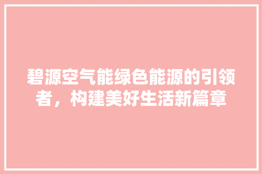 碧源空气能绿色能源的引领者，构建美好生活新篇章 洗衣机