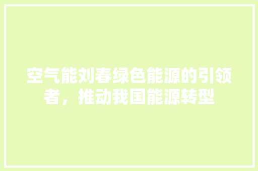 空气能刘春绿色能源的引领者，推动我国能源转型 局部翻新