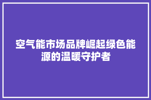 空气能市场品牌崛起绿色能源的温暖守护者 空调
