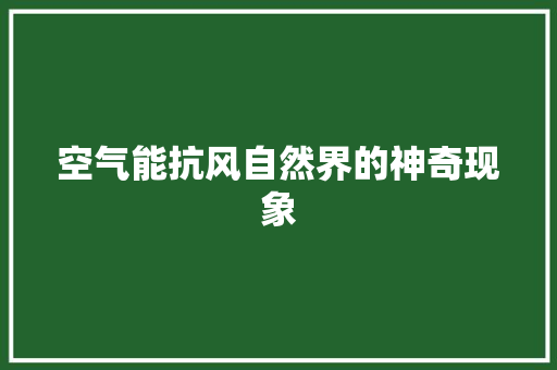 空气能抗风自然界的神奇现象 贴膜