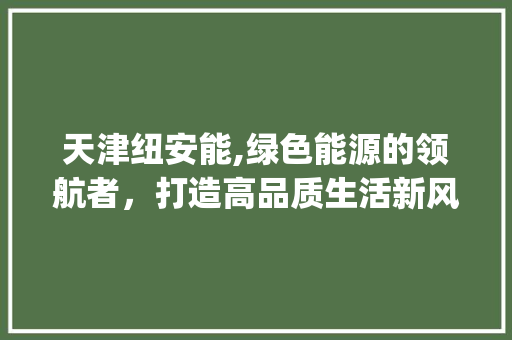 天津纽安能,绿色能源的领航者，打造高品质生活新风尚_天津纽安能空气能 天津纽安能,绿色能源的领航者，打造高品质生活新风尚_天津纽安能空气能 装修设计