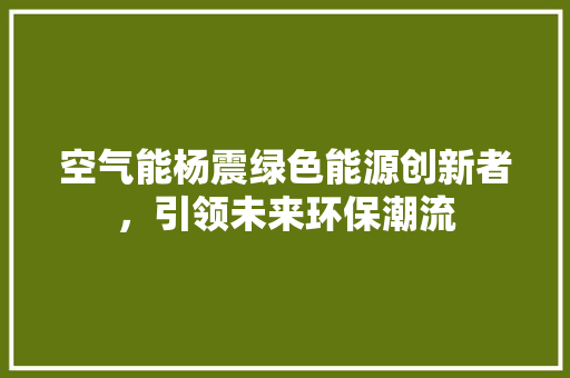 空气能杨震绿色能源创新者，引领未来环保潮流 空调