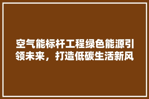 空气能标杆工程绿色能源引领未来，打造低碳生活新风尚 洗衣机