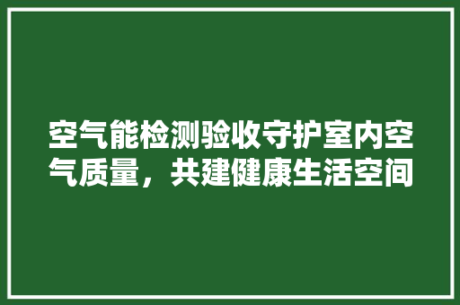 空气能检测验收守护室内空气质量，共建健康生活空间 洁具维修