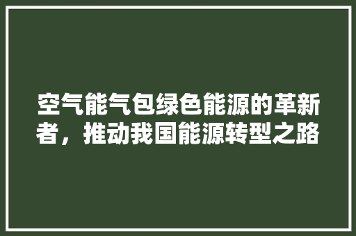 空气能气包绿色能源的革新者，推动我国能源转型之路 家居维修