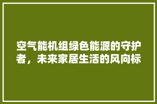 空气能机组绿色能源的守护者，未来家居生活的风向标 家居维修