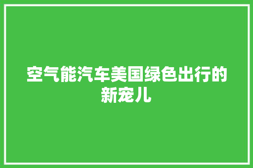 空气能汽车美国绿色出行的新宠儿 局部翻新