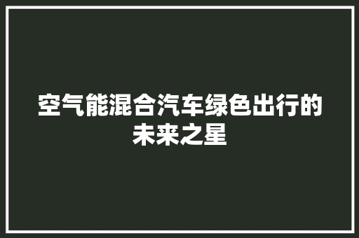 空气能混合汽车绿色出行的未来之星 空调