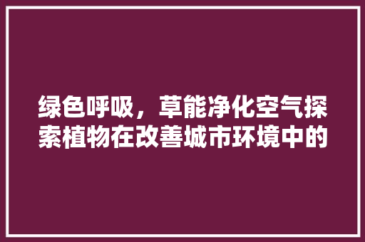 绿色呼吸，草能净化空气探索植物在改善城市环境中的重要作用 清洁保养
