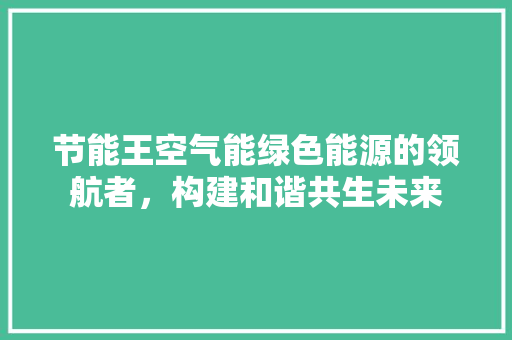 节能王空气能绿色能源的领航者，构建和谐共生未来 空调