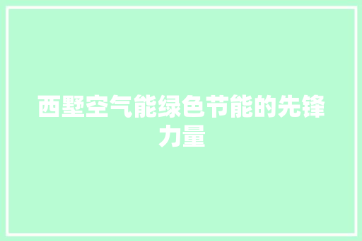 西墅空气能绿色节能的先锋力量 清洁保养
